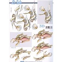 KALLAT ja KIRJA 3-D arkki LeSuh122