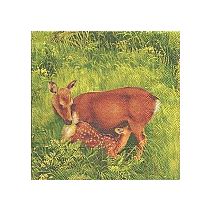 PEURAT RUOHIKOSSA ½ aukeama i.servetti