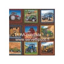 PIENET KORTTIPALAT  n.30x30 cm.