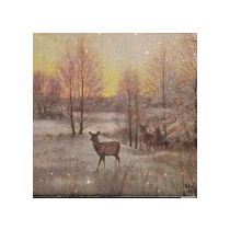 PEURAT ILTARUSKOSSA  servetti