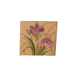 IIRIS i. servetti 25x25cm