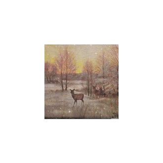 PEURAT ILTARUSKOSSA  servetti