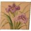 IIRIS i. servetti 25x25cm